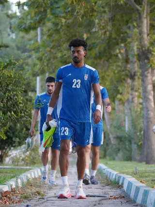 تیم ملی