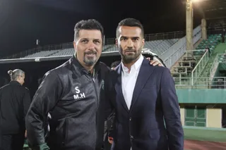 هوادار