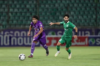 هوادار