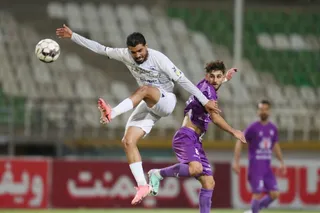 هوادار
