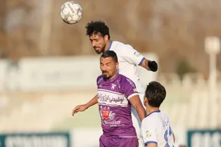 هوادار