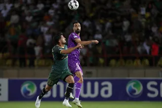هوادار