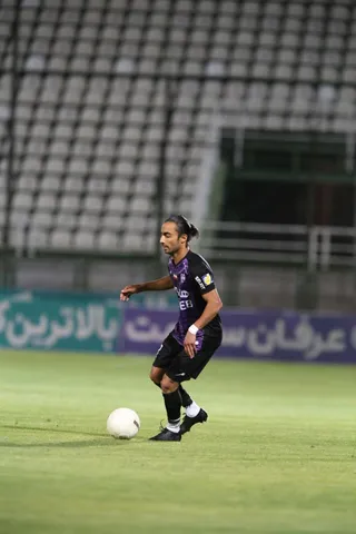 هوادار