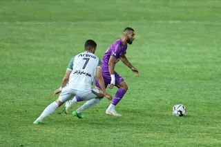 هوادار