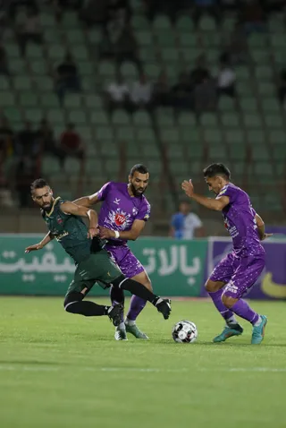 هوادار