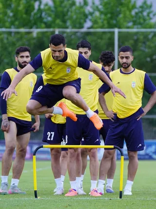 تیم ملی