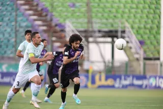 هوادار
