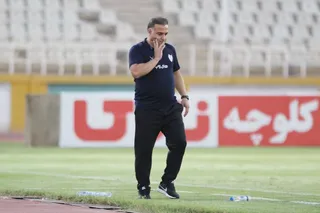 هوادار