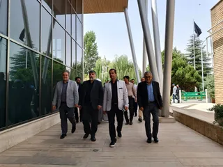 فدراسیون