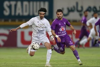 هوادار