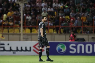 هوادار