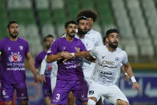 هوادار