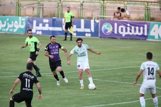 هوادار