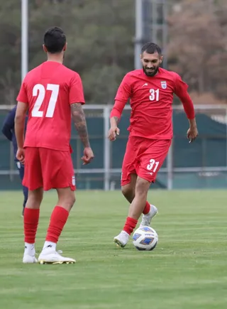 بزرگسالان ۱