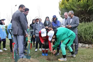 درختکاری