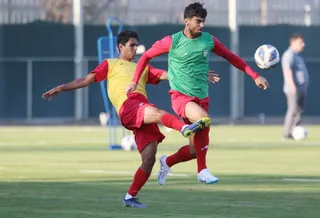 بزرگسالان ۲