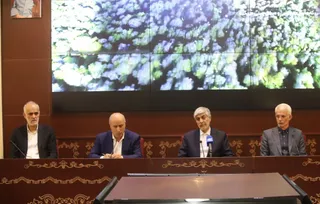 فدراسیون