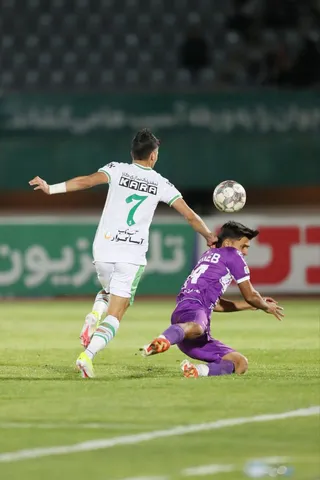 هوادار