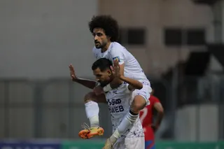 هوادار