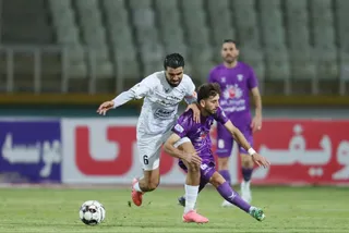هوادار