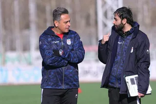 تيم اميد
