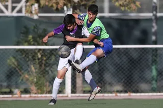 نونهال2