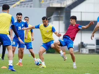 تیم ملی