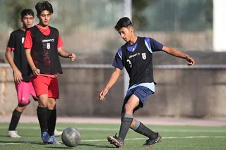 نونهال