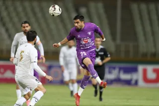 هوادار