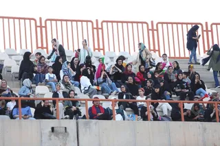 هوادار