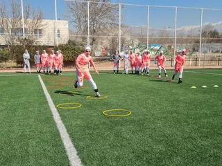 ترین