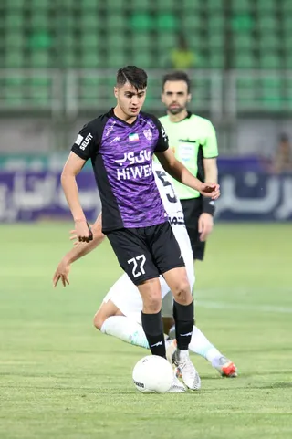 هوادار