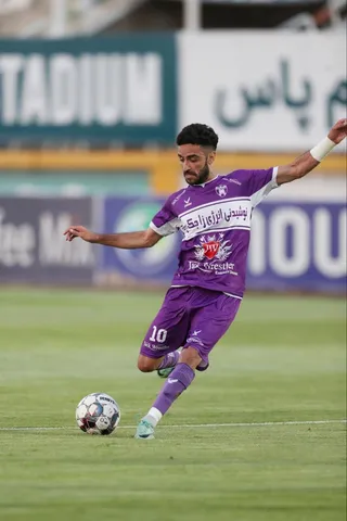 هوادار