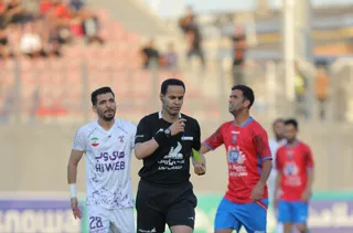 هوادار