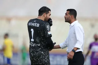 هوادار