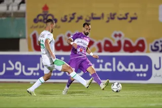 هوادار