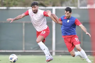 تیم