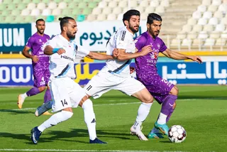 هوادار