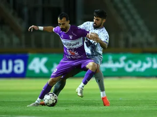 هوادار