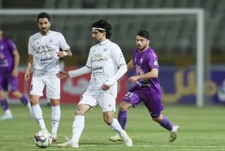 هوادار