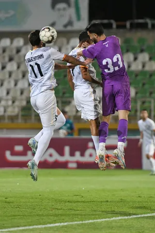 هوادار