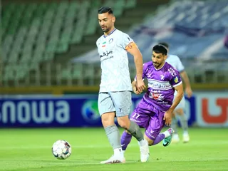هوادار