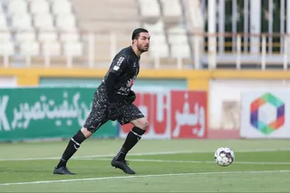 هوادار