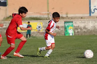 فستیوال