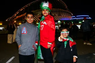 فدراسیون