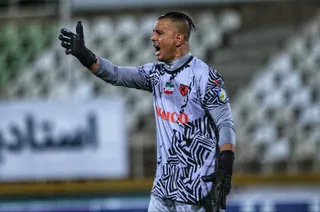هوادار