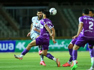 هوادار