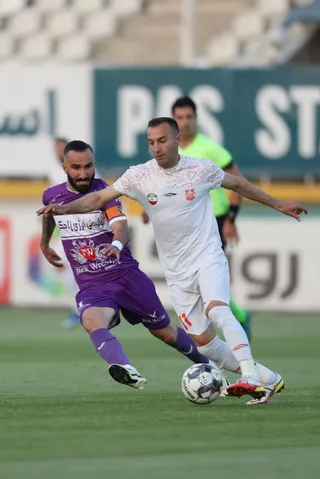 هوادار