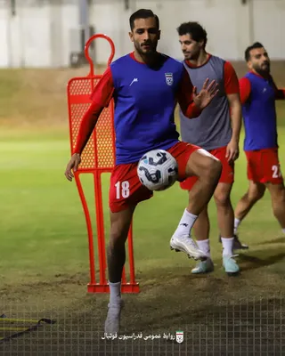 تیم ملی