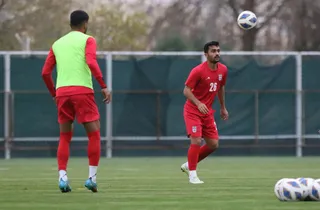 بزرگسالان ۱